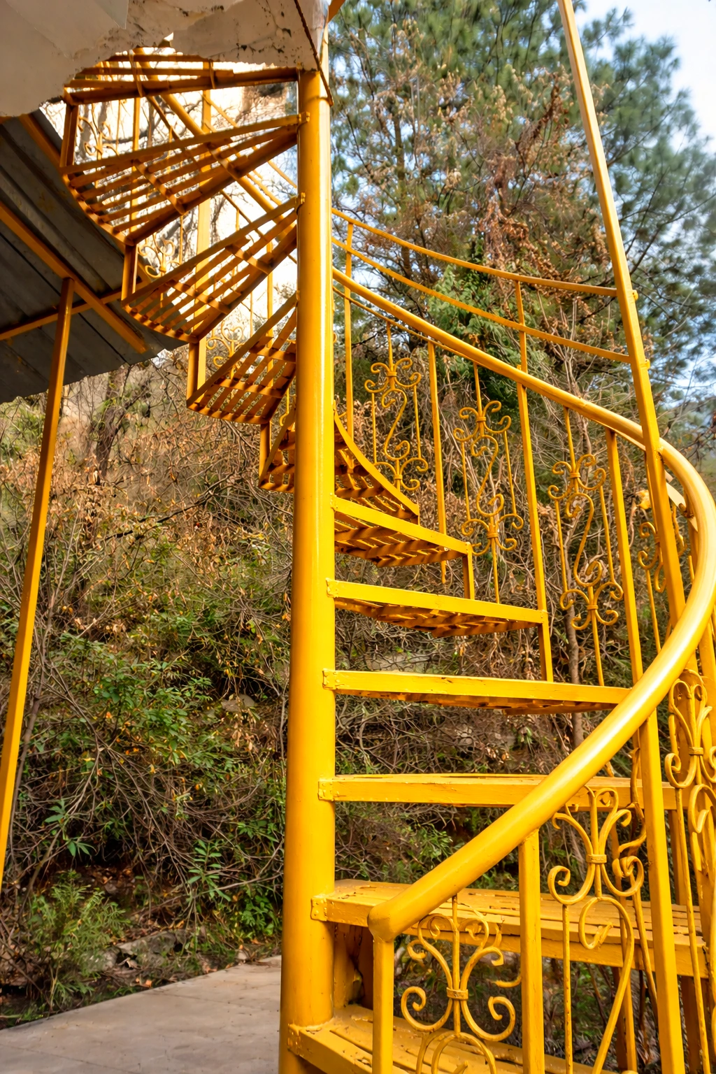 Exterior view of The River Haven Homestay surrounded by nature in Tirthan Valley